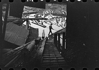 [Untitled photo, possibly related to: Men spiking logs to go up ramp into sawmill. It was working only halftime and was even slower in winter.  "It's kinder hard them times. Concrete and steel's taking the place of lumber nowadays. Erwin, West Virginia] by Marion Post Wolcott