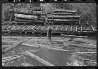 [Untitled photo, possibly related to: Pushing the logs toward the sawmill, Erwin, West Virginia]. Sourced from the Library of Congress.