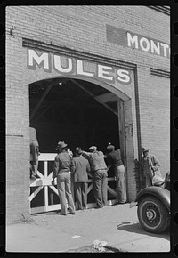 Outside of stables during mule and horse auction in Montgomery, Alabama. Sourced from the Library of Congress.