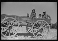 Charlie McGuire's children in their new wagon. Tenant purchase family, Pike County, Alabama by Marion Post Wolcott