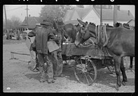 [Untitled photo, possibly related to: Farmer going home from town. Saturday afternoon, Enterprise, Alabama]. Sourced from the Library of Congress.