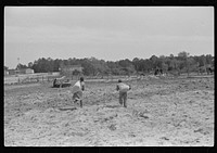 Two children of project families taking home the ground corn meal from the cooperative mill, Gees Bend, Alabama. Sourced from the Library of Congress.