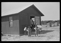 Children of project families bringing corn to cooperative mill and taking it home after grinding, Gees Bend, Alabama. Sourced from the Library of Congress.