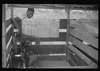 [Untitled photo, possibly related to: Experiment by high school boys showing difference between two ways of feeding hogs, Flint River Farms, Georgia]. Sourced from the Library of Congress.