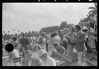 [Untitled photo, possibly related to: Horse races, Hialeah Park, Miami, Florida]. Sourced from the Library of Congress.