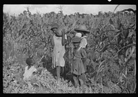 [Untitled photo, possibly related to: Two of Pauline Clyburn's children, rehabilitation borrowers, Manning, Clarendon County, South Carolina] by Marion Post Wolcott