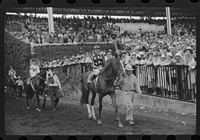 Horse races, Hialeah Park, Miami, Florida. Sourced from the Library of Congress.