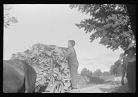 [Untitled photo, possibly related to: Sharecropper's children tying tobacco, near Manning, South Carolina]. Sourced from the Library of Congress.