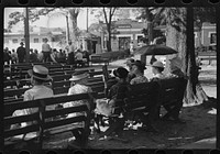 [Untitled photo, possibly related to: General town meeting place: the park.  Lakeland, Forida]. Sourced from the Library of Congress.