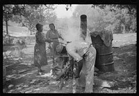[Untitled photo, possibly related to: Skimming the boiling cane juice to make sorghum syrup at cane mill near Carr, Orange County, North Carolina]. Sourced from the Library of Congress.
