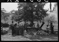 A portable cane mill. The owner gets every sixth gallon for making the sorghum syrup. This is on the property of a  owner, Wess Cris, a tobacco farm of about 165 acres in a prosperous Negro settlement near Carr, Orange County, North Carolina. They are straining it into a barrel, measured by a gallon can. Sourced from the Library of Congress.