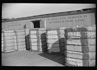 Cotton bales to be shipped in freight cars, Knowlton Plantation, Perthshire, Mississippi Delta, Mississippi. Sourced from the Library of Congress.