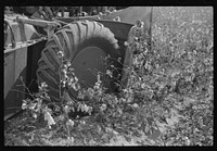 International cotton picker on Hopson Plantation, Clarksdale, Mississippi Delta, Mississippi. Sourced from the Library of Congress.