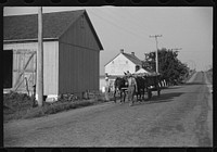 Mennonite farmer transporting load of tobacco, near Lancaster, Pennsylvania. Sourced from the Library of Congress.