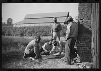 [Untitled photo, possibly related to: es shooting craps behind tenant house, disposing of their cotton money on Saturday afternoon, Marcella Plantation, Mileston, Mississippi Delta, Mississippi]. Sourced from the Library of Congress.
