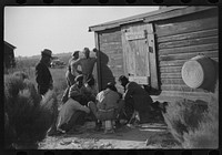 [Untitled photo, possibly related to: es shooting craps behind tenant house, disposing of their cotton money on Saturday afternoon, Marcella Plantation, Mississippi Delta, Mississippi]. Sourced from the Library of Congress.