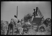 [Untitled photo, possibly related to: Baling hay on Marcella Plantation, Mileston, Mississippi Delta, Mississippi]. Sourced from the Library of Congress.
