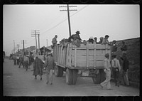 Day laborers being hired for cotton picking on Mississippi and Arkansas plantations. Between four and six-thirty every morning during the season, near the Hallan Bridge in Memphis, Tennessee, crowds of es in the streets gather and are loaded into trucks by drivers who bid, and offer them anywhere from fifty cents to one dollar per day. Sourced from the Library of Congress.