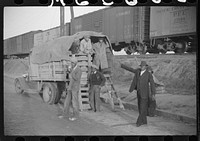 Day laborers being hired for cotton picking on Mississippi and Arkansas plantations. Between four and six-thirty every morning during the season, near the Hallan Bridge in Memphis, Tennessee, crowds of es in the streets gather and are loaded into trucks by drivers who bid, and offer them anywhere from fifty cents to one dollar per day. Sourced from the Library of Congress.