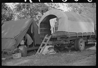 [Untitled photo, possibly related to: Tents of Mexican labor brought from Texas by contractor for the duration of cotton picking season. Hopson Plantation, near Clarksdale, Mississippi Delta, Mississippi]. Sourced from the Library of Congress.
