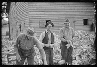 [Untitled photo, possibly related to: Corn shucking on farm near the Fred Wilkins place, Granville County, North Carolina]. Sourced from the Library of Congress.