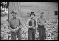 [Untitled photo, possibly related to: Corn shucking on farm near the Fred Wilkins place, Granville County, North Carolina]. Sourced from the Library of Congress.