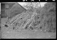 [Untitled photo, possibly related to: Barn and feed for livestock on Fred Wilkins farm, Tally Ho, near Stem, Granville County, North Carolina]. Sourced from the Library of Congress.