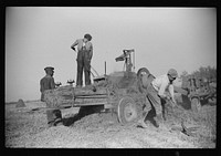 [Untitled photo, possibly related to: Baling hay on the Mary E. Jones place of about 140 acres. The sons W.E. and R.E. Jones own ninty-nine and sixty acres respectively. There are eight mules on the entire place, two cows, and this year, forty acres in tobacco--no cotton. They have owned it about forty years. It is on Route No. 91, about two miles from Wake Forest, Wake County, North Carolina]. Sourced from the Library of Congress.