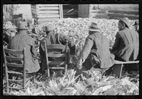 [Untitled photo, possibly related to: Corn shucking on farm near the Fred Wilkins place, Granville County, North Carolina] by Marion Post Wolcott