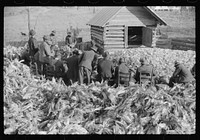 [Untitled photo, possibly related to: Corn shucking on Uncle Henry Garrett's place,  tenant of Mr. Fred Wilkins. White women don't go to Negro shucking to help with the cooking but whites are fed by Negro women just the same as at other shucking week previous at Mr. Fred Wilkins' home. Tally Ho, near Stem, Granville County, North Carolina]. Sourced from the Library of Congress.