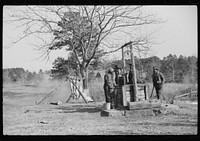[Untitled photo, possibly related to: Hog killing on Milton Puryeur place. He is a  owner of five acres of land. Rural Route No. 1, Box 59, Dennison, Halifax County, Virginia. This is six miles south (on Highway No. 501) of South Boston. He used to grow tobacco and cotton but now just a subsistence living. These hogs belong to a neighbor landowner. He burns old shoes and pieces of leather near the heads of the slaughtered hogs while they are hanging to keep the flies away]. Sourced from the Library of Congress.