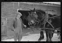 [Untitled photo, possibly related to: Hired man and team, Putney Homesteads, near Woodstock, Vermont]. Sourced from the Library of Congress.