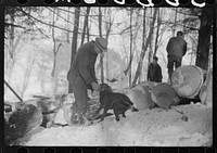 [Untitled photo, possibly related to: Logs hauled by tractor to the road where they are picked up by truck and taken to the mill, near Barnard, Windsor County, Vermont]. Sourced from the Library of Congress.