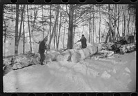 [Untitled photo, possibly related to: Hauling timber by tractor to the road where it is taken by truck to the mill, near Barnard, Windsor County, Vermont]. Sourced from the Library of Congress.