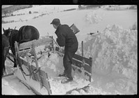 [Untitled photo, possibly related to: Hauling water in milk cans because usual source of supply is frozen. Putney Homestead farm near Woodstock, Vermont] by Marion Post Wolcott