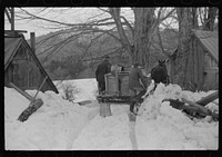 [Untitled photo, possibly related to: Hired man and son of Frank H. Shurtleff returning to sugar house with vat of maple sap to be boiled down into maple syrup. The Shurtleff farm has about 400 acres and was originally purchased by the grandfather in 1840. He raises sheep, cows, cuts lumber and has been making maple syrup for about thirty-five years. Sugaring brings about one thousand dollars annually. Because of the deep snow this year he only tapped 1000 of his 2000 trees. He expects to make about 300 to 500 gallons this year. North Bridgewater, Vermont]. Sourced from the Library of Congress.