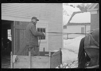 [Untitled photo, possibly related to: Clinton Gilbert and hired men driving back to barn after coming from sugar maple trees for sap which is boiled down into maple syrup. Gilbert farm, near Woodstock, Vermont]. Sourced from the Library of Congress.