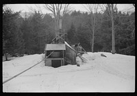 [Untitled photo, possibly related to: Pipe line, through which sap runs to sugar house. The sap from sugar maple trees is piped into the house where it is boiled down into maple syrup. Mad River Valley, Waitsfield, Vermont. Walter Gaylord place. He averages about 150 gallons of syrup annually, but this year tapped only 600 out of his 1000 trees, becaue of unusually deep snow and late spring. He owns several farms; in this particular unit there are eighty acres. It has been in family for three generations. Has about thirty-five or forty head of cattle, raises poultry and potatoes]. Sourced from the Library of Congress.