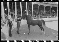 [Untitled photo, possibly related to: Entries in the Shelby County Horse Show and Fair, Shelbyville, Kentucky]. Sourced from the Library of Congress.