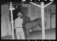 [Untitled photo, possibly related to: Elaborate preparations are made for entries in Shelby County Horse Show and Fair, Shelbyville, Kentucky]. Sourced from the Library of Congress.