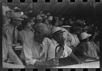 [Untitled photo, possibly related to: Spectators at Shelby County Horse Show and Fair. Shelbyville, Kentucky]. Sourced from the Library of Congress.