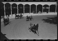 [Untitled photo, possibly related to: Entries in the Shelby County Horse Show and Fair. Shelbyville, Kentucky]. Sourced from the Library of Congress.