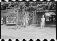 Entries in the Shelby County Horse Show and Fair. Shelbyville, Kentucky. Sourced from the Library of Congress.