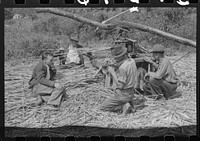 [Untitled photo, possibly related to: Ginning the sorghum cane to make syrup. At a mountaineer's home on the road between Jackson and Campton, Kentucky]. Sourced from the Library of Congress.