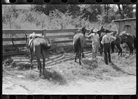 [Untitled photo, possibly related to: Farmers trading mules and horses on "Jockey Street" in Campton, Kentucky]. Sourced from the Library of Congress.