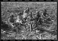 [Untitled photo, possibly related to: Homebuilt boiler pit made of mud and rocks where the sap from the sorghum cane is boiled down to the syrup.The man who does the cooking goes from one farmhouse to another and takes a share of the syrup for his work at the different mountaineers' homes in Breathitt County, Kentucky]. Sourced from the Library of Congress.