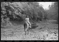 [Untitled photo, possibly related to: Mountain girl riding home from school on muleback. Up South fork of the Kentucky River. Breathitt County, Kentucky]. Sourced from the Library of Congress.