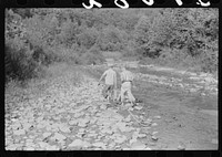Going home from school. In Breathitt County, Kentucky. The school year begins in July and ends in January as most of the children have no shoes and insufficient clothing to walk the long distances over bad roads and up creek beds. Sourced from the Library of Congress.