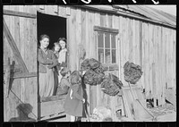 [Untitled photo, possibly related to: Spanish trapper's camp home and family with dried muskrat skins hanging in front. In the marshes near Delacroix Island, Louisiana]. Sourced from the Library of Congress.