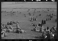 Spectators at the Point to Point cup race of the Maryland Hunt Club. Worthington Valley, near Glyndon, Maryland. Sourced from the Library of Congress.